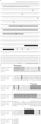 Molecular Characterization and Expression Analysis of Intercellular Adhesion Molecule-1 (ICAM-1) Genes in Rainbow Trout (Oncorhynchus mykiss) in Response to Viral, Bacterial and Parasitic Challenge